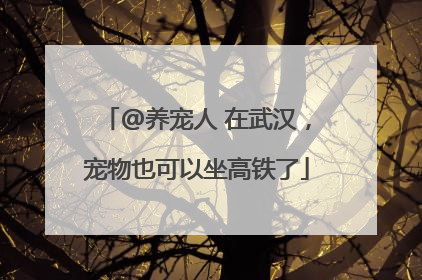 @养宠人 在武汉，宠物也可以坐高铁了