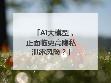 AI大模型，正面临更高隐私泄露风险？