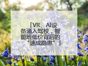 VR、AI设备涌入驾校，智能班低价背后的“速成隐患”